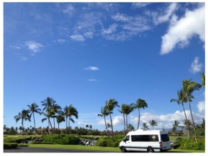 ハワイ島　高級ベンツのバンで行くコナコーヒー園とコナショッピング（カイラニツアーズ）