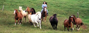 ハワイ島乗馬